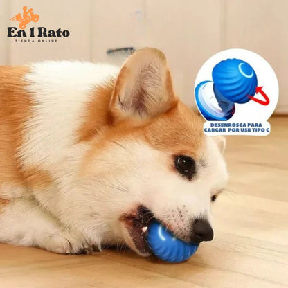Pelota Interactiva para Mascotas | PetGravity