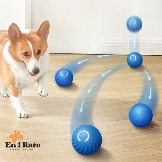 Pelota Interactiva para Mascotas | PetGravity