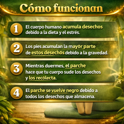 Parches Detox para Pies Kinoki (OFERTA 2X1 ACTIVA)