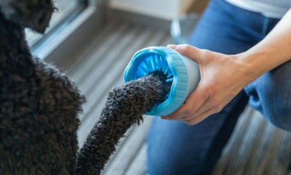 Limpiador de Patas para Perro de Silicona + Guantes Quita Pelos (REGALO)