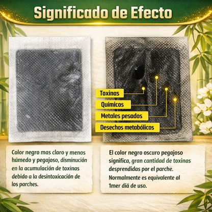 Parches Detox para Pies Kinoki (OFERTA 2X1 ACTIVA)