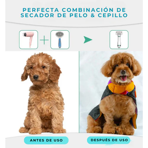 Secador-Cepillo para Mascotas 2 en 1 PetDry® | Cuidado y Secado Rápido