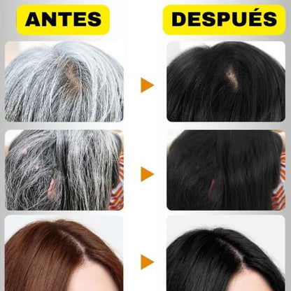 Black Hair Dye™ Champú 3 en 1: Elimina Las Canas Y Devuelve El Tono Natural